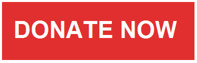 donatenow.png